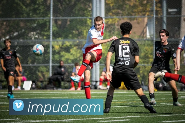 世界杯开户平台平台生态图